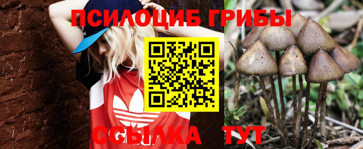 Галлюциногенные грибы прущие грибы Нижний Тагил